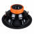 DL Audio Gryphon Lite 12 V2 DL Audio Gryphon Lite 12 V2